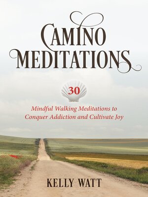 cover image of Camino Meditations